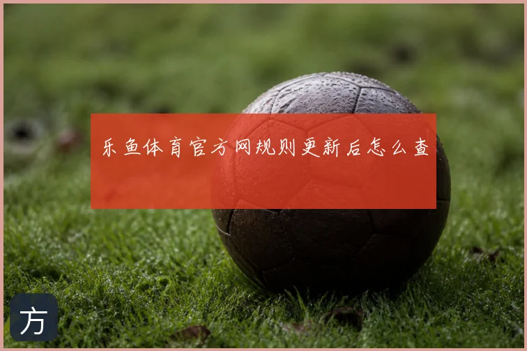 乐鱼体育官方网规则更新后怎么查